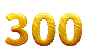 Misc 300